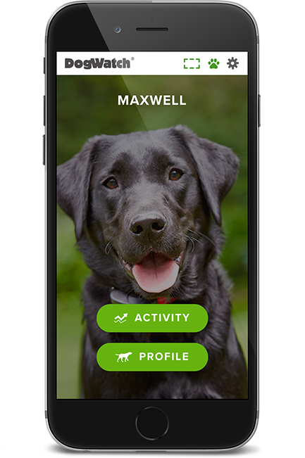 DogWatch Hidden Fence of Houston, Houston, Texas | SmartFence WebApp Image