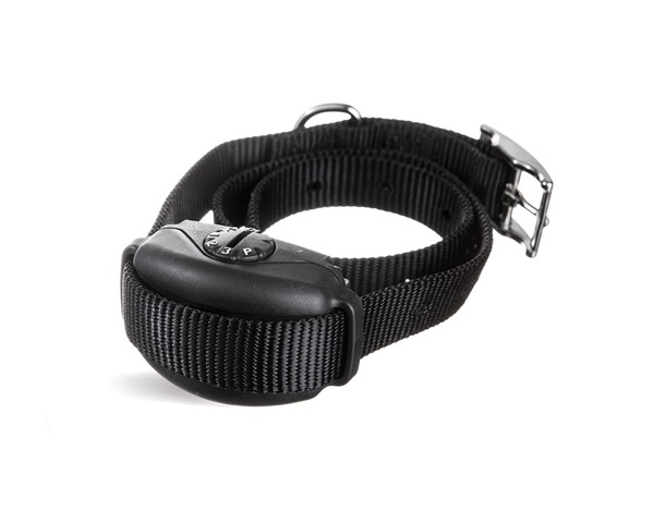 DogWatch Hidden Fence of Houston, Houston, Texas | SideWalker Leash Trainer Product Image