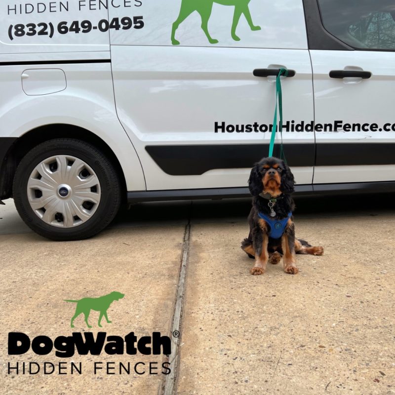 DogWatch Hidden Fence of Houston, Houston, Texas | Photo Gallery  Image