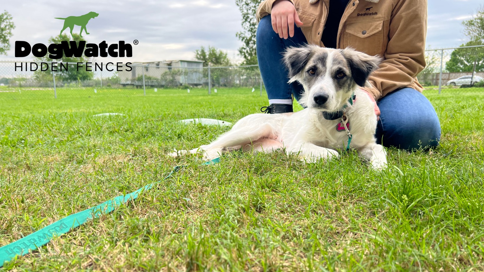 DogWatch Hidden Fence of Houston, Houston, Texas | Home Slider Image