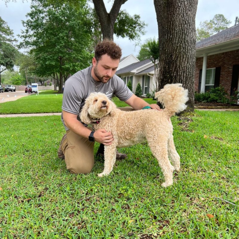 DogWatch Hidden Fence of Houston, Houston, Texas | Photo Gallery  Image